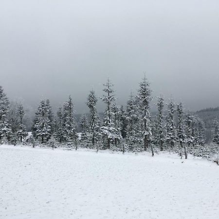 Gaestehaus Mira Winterberg Bagian luar foto